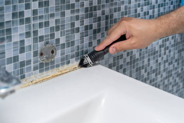 Best Residential Mold Removal  in Seabrook, SC