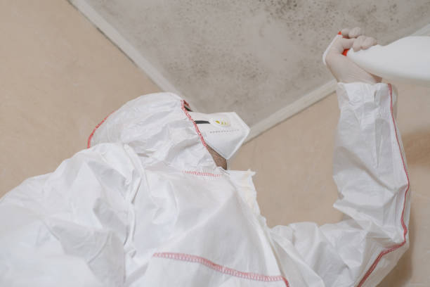Best Crawl Space Mold Removal  in Seabrook, SC