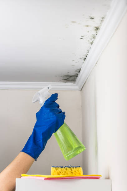 Water Damage Restoration in Seabrook, SC